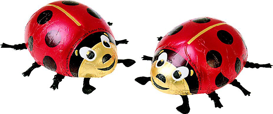Giant Chocolate Ladybirds (Red) 45g x 12