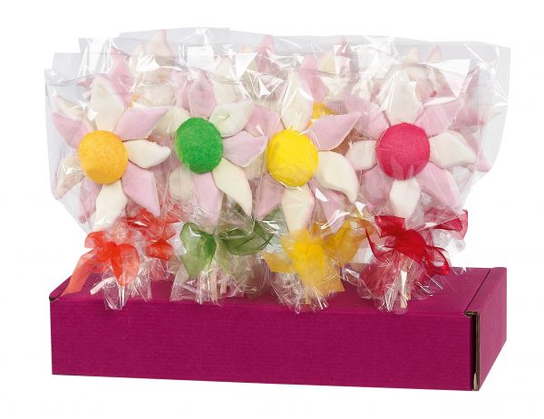 Sunflower Lolly (Assorted Colours) 51g x 16