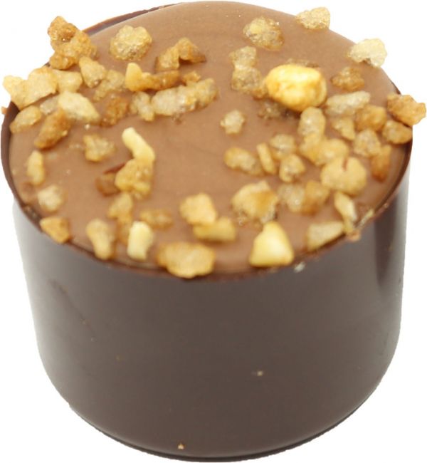 Speculoos Praline Cup - Hazelenut Praline with Spices & Crunchy Hazelnuts in Dark Shell x 1kg (Appro