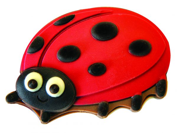 Lilly Ladybird x 1kg (Approx 33pc)