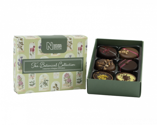 NHM Botanical Chocolates 95g x 12
