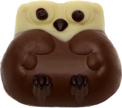 Owls (flow wrapped) 20g x 40