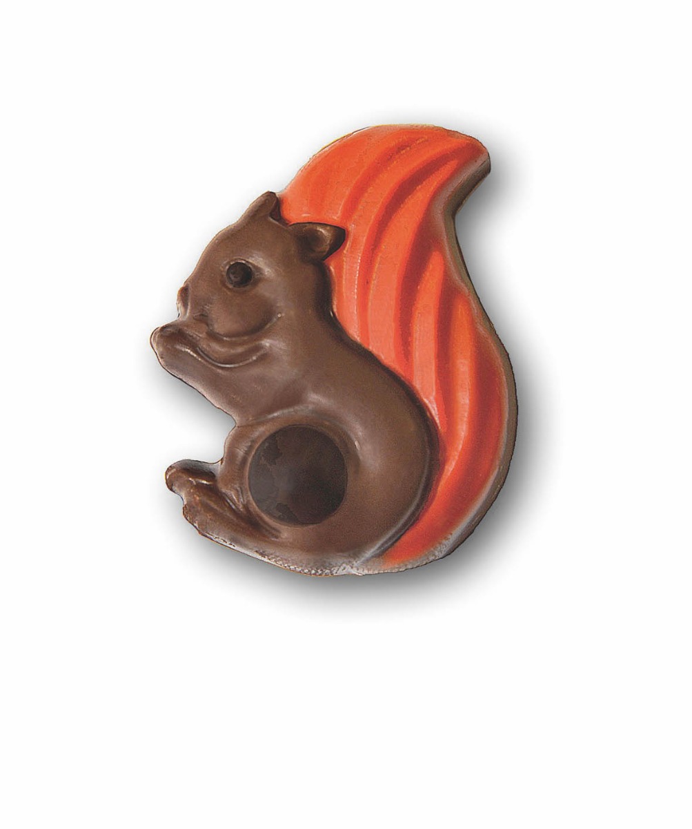 Squirrel x 1kg (Approx 66 pcs)