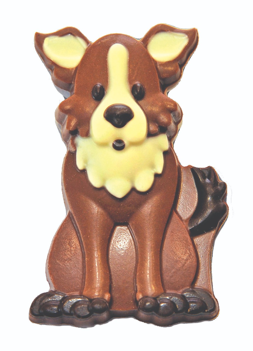 Sammy Sheepdog x 1kg (Approx 41pc)