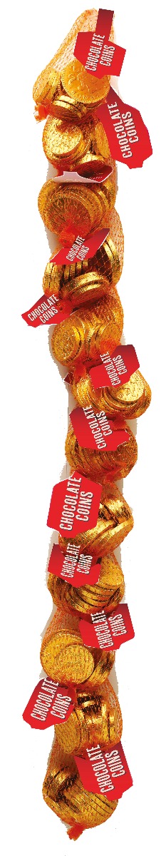 Clip Strip of Coins (each strip holds 12 nets, 3 strips per case) 100g x 36